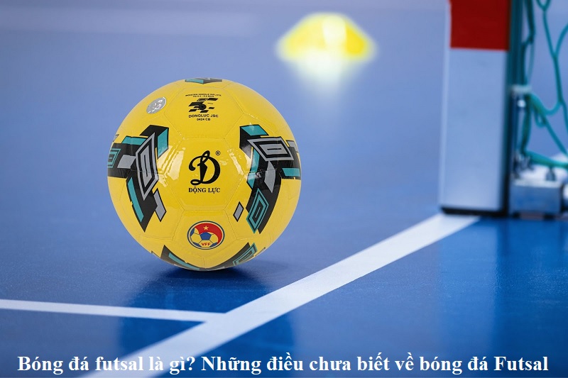 Bóng đá futsal là gì? Những điều chưa biết về bóng đá Futsal