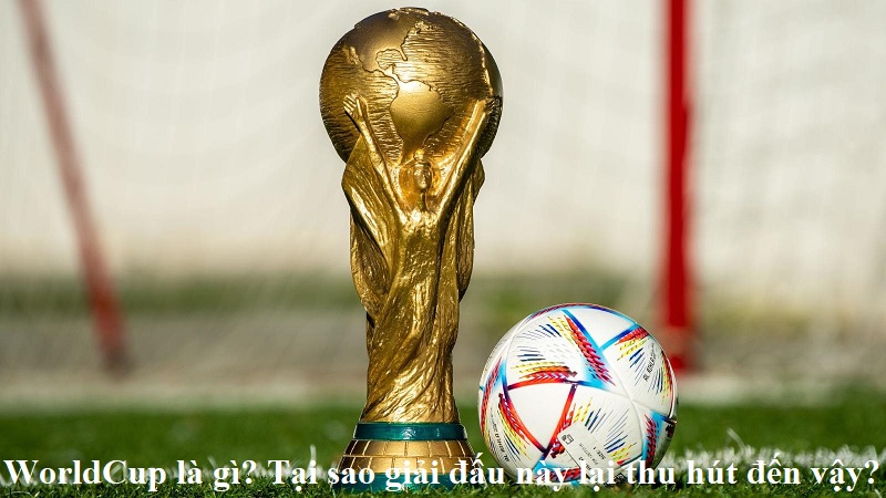 WorldCup là gì? Tại sao giải đấu này lại thu hút đến vậy?